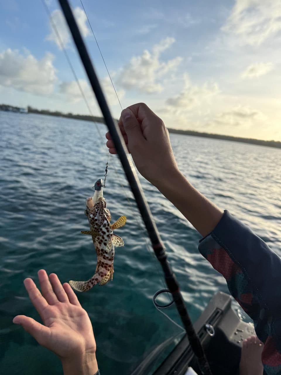 South Lagoon Fishing Experience – Private Small Line Tackle  