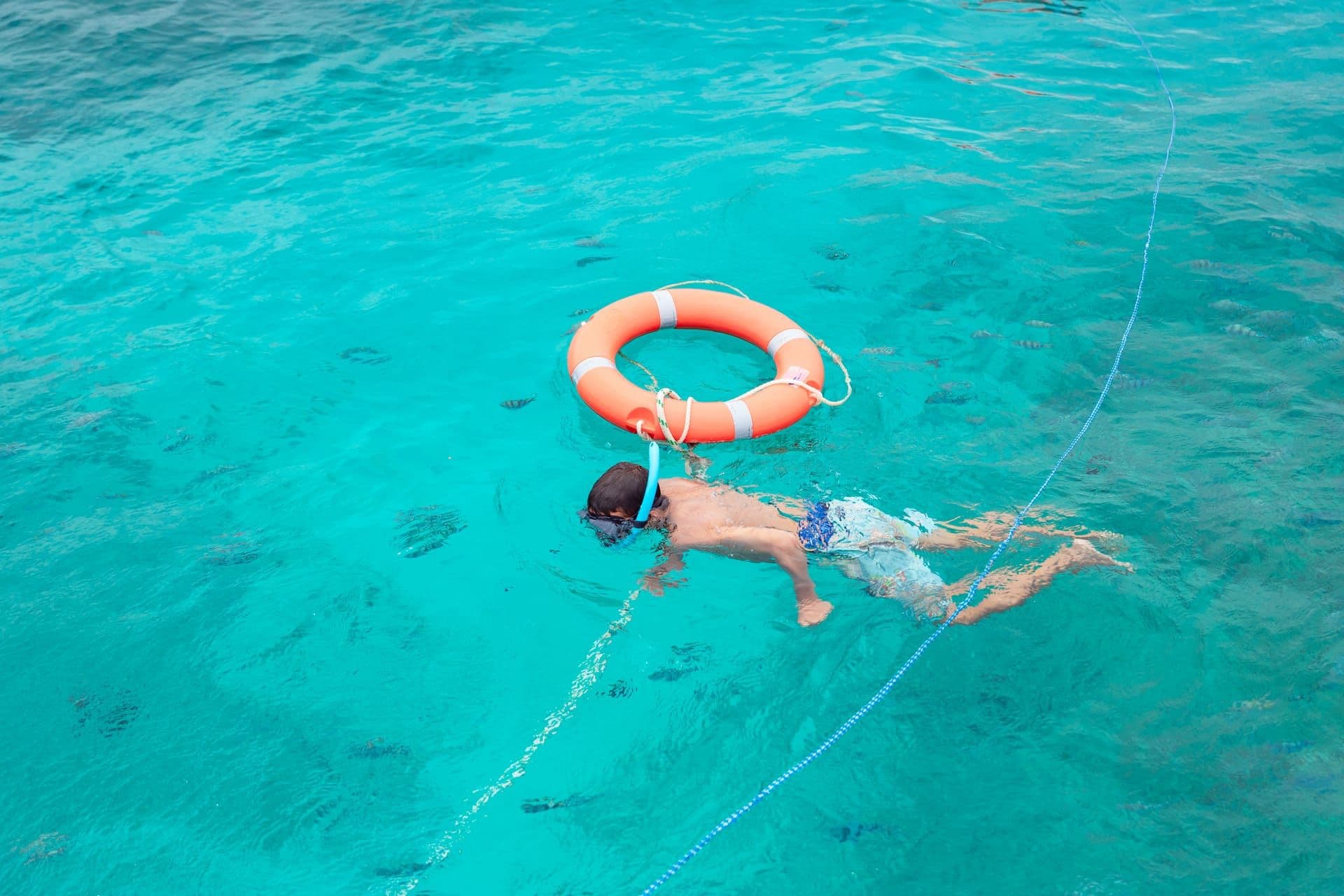 Private Dolphin & Snorkeling Trip – South - Le Morne Lagoon (Half Day)