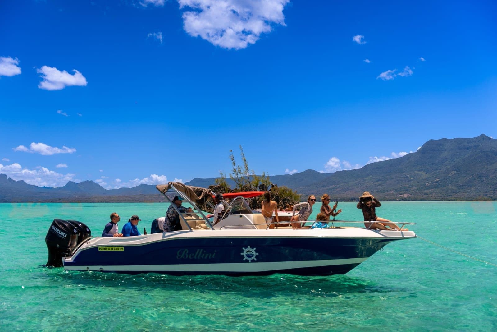 Dolphin Watching & Swim Experience + Ile Benitiers Lunch 