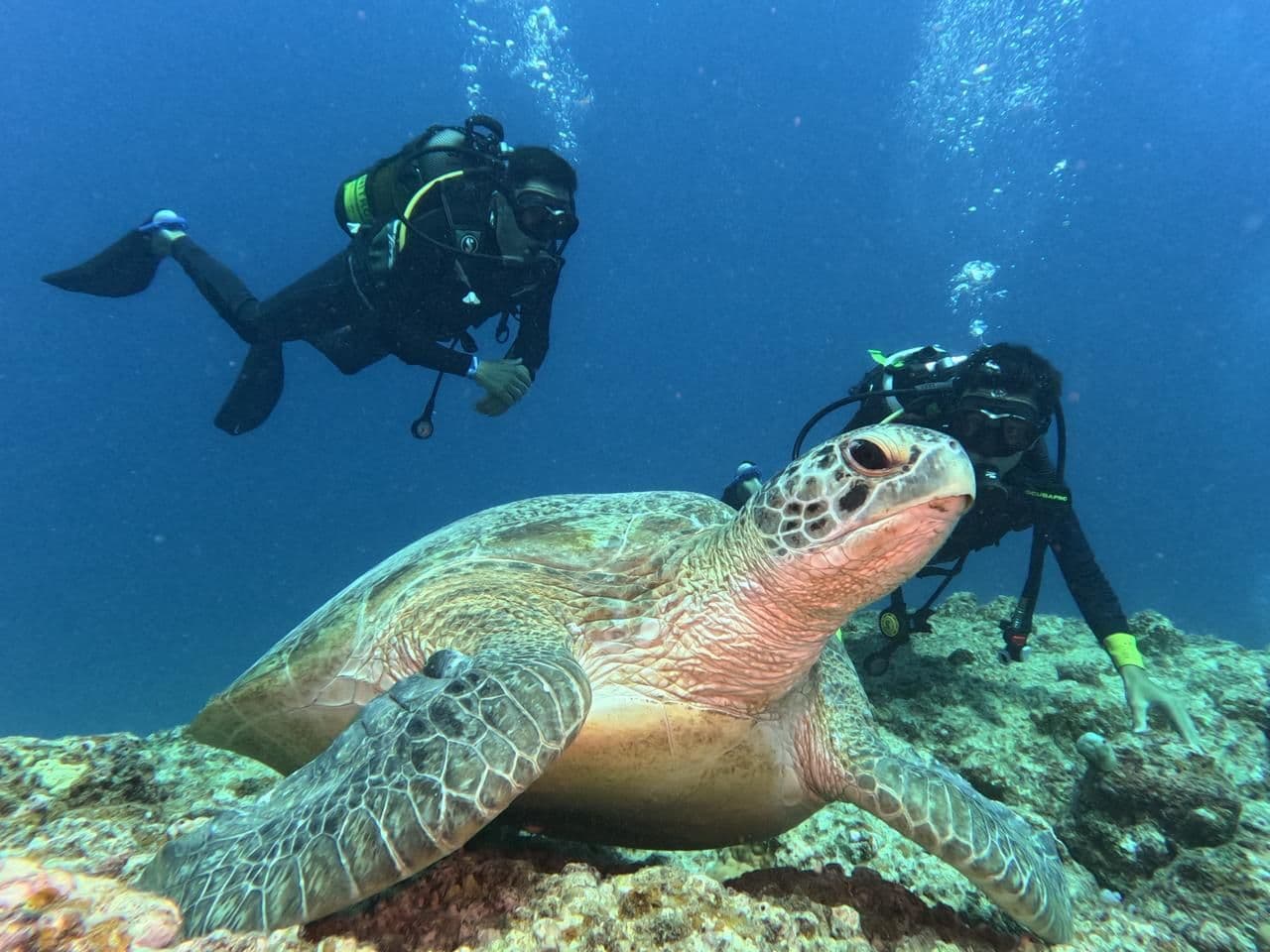Scuba Diving - Discover Scuba Diving (DSD) - North Coast - Mauritius