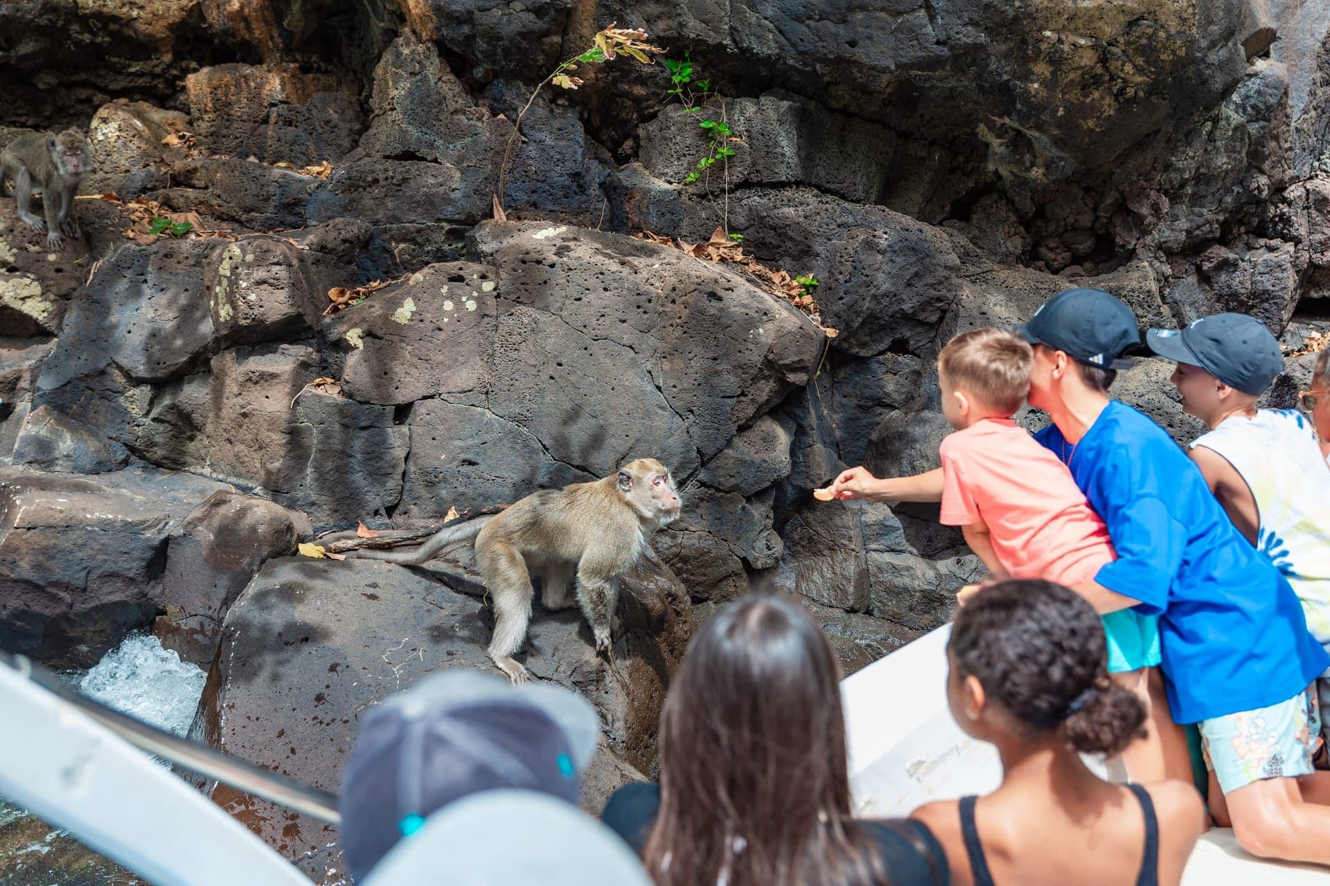 Private Speedboat 5 Island Tour – Grand South River- East (Full-Day Experience)